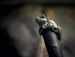 New Scientist. Science news and long reads from expert journalists, covering developments in science, technology, health and the environment on the website and the magazine.