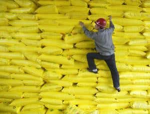 New Scientist. Science news and long reads from expert journalists, covering developments in science, technology, health and the environment on the website and the magazine.