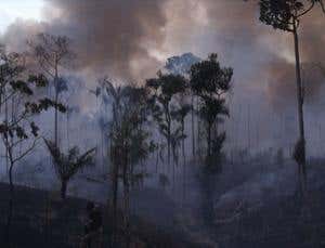 New Scientist. Science news and long reads from expert journalists, covering developments in science, technology, health and the environment on the website and the magazine.