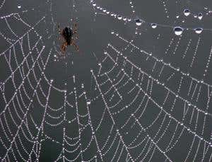 New Scientist. Science news and long reads from expert journalists, covering developments in science, technology, health and the environment on the website and the magazine.