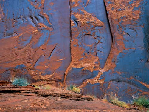 The varnish forms on many different types of rock, including sandstone as here in Lake Powell, Glen Canyon National Recreation Area, Utah