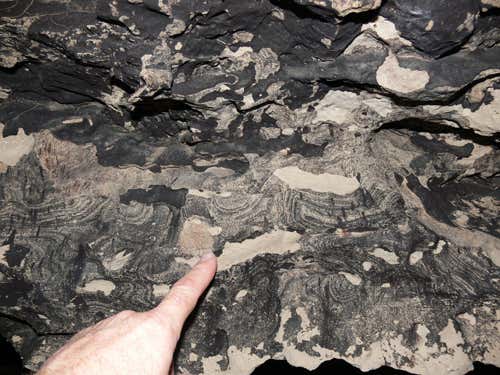 Rock varnish grows quickly in caves - bacteria are prime suspects