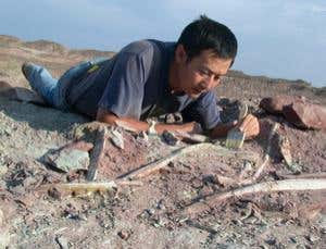 Xu Xing: Unearthing how dinosaurs became birds