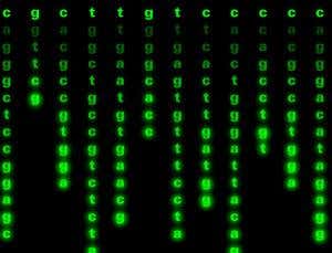 New Scientist. Science news and long reads from expert journalists, covering developments in science, technology, health and the environment on the website and the magazine.