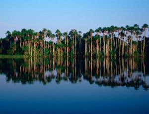 New Scientist. Science news and long reads from expert journalists, covering developments in science, technology, health and the environment on the website and the magazine.