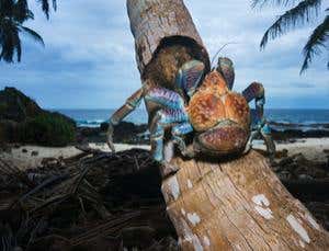 New Scientist. Science news and long reads from expert journalists, covering developments in science, technology, health and the environment on the website and the magazine.