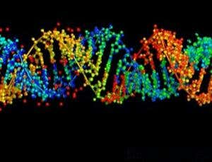 Did 'midwife molecule' assemble first life on Earth?