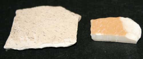 Moa and Aepyornis (elephant bird) eggshell shown side by side