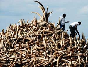 New Scientist. Science news and long reads from expert journalists, covering developments in science, technology, health and the environment on the website and the magazine.