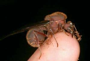 New Scientist. Science news and long reads from expert journalists, covering developments in science, technology, health and the environment on the website and the magazine.