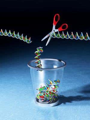 New Scientist. Science news and long reads from expert journalists, covering developments in science, technology, health and the environment on the website and the magazine.