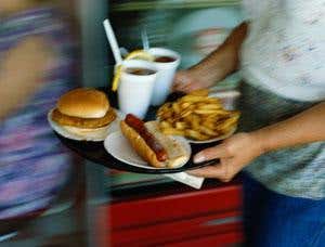 Junk-fed rats have 'drug addict' brains