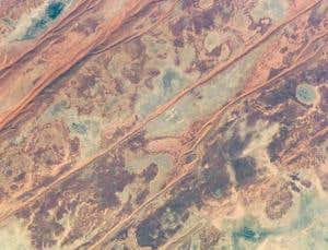 Microbes thrive in harsh, Mars-like lakes