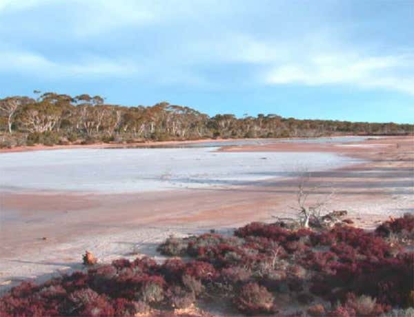 New Scientist. Science news and long reads from expert journalists, covering developments in science, technology, health and the environment on the website and the magazine.