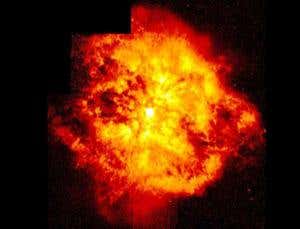 New Scientist. Science news and long reads from expert journalists, covering developments in science, technology, health and the environment on the website and the magazine.