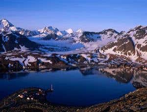 Extermination in paradise