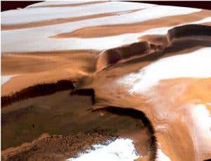 New Scientist. Science news and long reads from expert journalists, covering developments in science, technology, health and the environment on the website and the magazine.