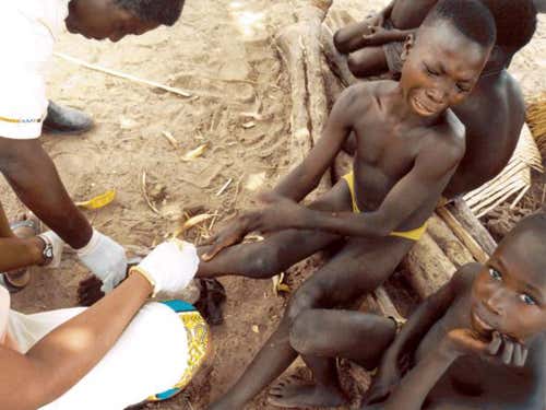 New Scientist. Science news and long reads from expert journalists, covering developments in science, technology, health and the environment on the website and the magazine.