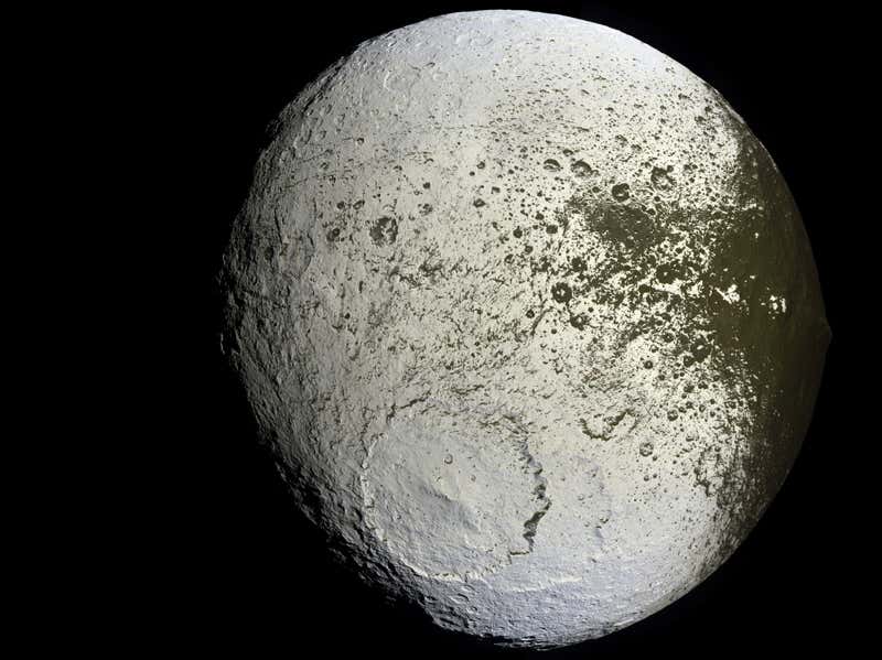 New Scientist. Science news and long reads from expert journalists, covering developments in science, technology, health and the environment on the website and the magazine.