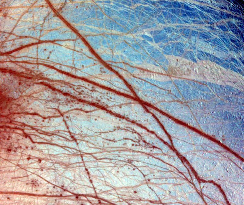 New Scientist. Science news and long reads from expert journalists, covering developments in science, technology, health and the environment on the website and the magazine.