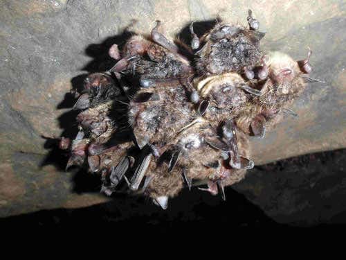 What they should look like