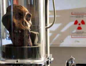 New Scientist. Science news and long reads from expert journalists, covering developments in science, technology, health and the environment on the website and the magazine.