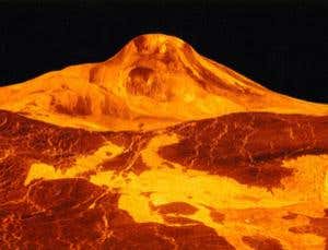 New Scientist. Science news and long reads from expert journalists, covering developments in science, technology, health and the environment on the website and the magazine.