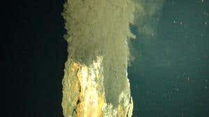 First footage from world's deepest volcanic vents