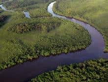 New Scientist. Science news and long reads from expert journalists, covering developments in science, technology, health and the environment on the website and the magazine.