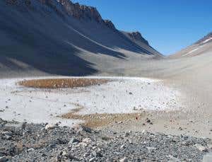 New Scientist. Science news and long reads from expert journalists, covering developments in science, technology, health and the environment on the website and the magazine.