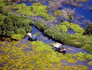 New Scientist. Science news and long reads from expert journalists, covering developments in science, technology, health and the environment on the website and the magazine.