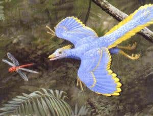 New Scientist. Science news and long reads from expert journalists, covering developments in science, technology, health and the environment on the website and the magazine.