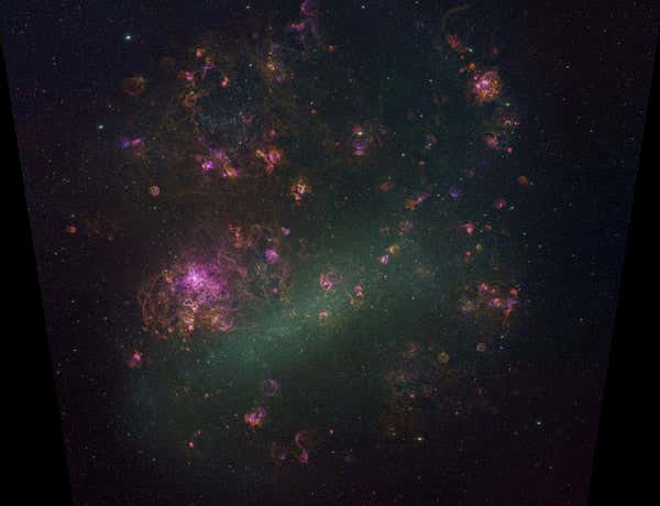 New Scientist. Science news and long reads from expert journalists, covering developments in science, technology, health and the environment on the website and the magazine.