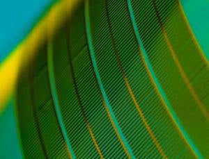 New Scientist. Science news and long reads from expert journalists, covering developments in science, technology, health and the environment on the website and the magazine.