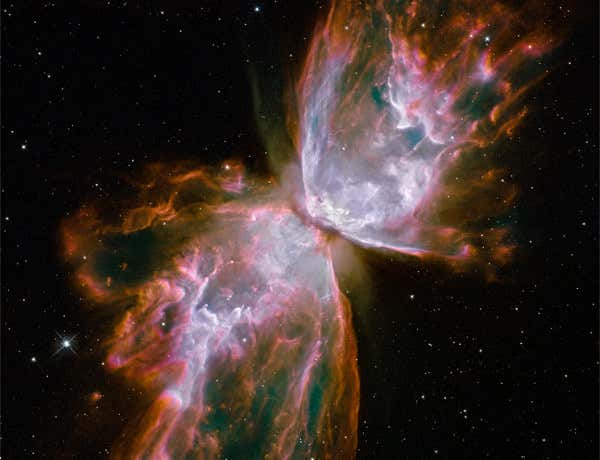 New Scientist. Science news and long reads from expert journalists, covering developments in science, technology, health and the environment on the website and the magazine.