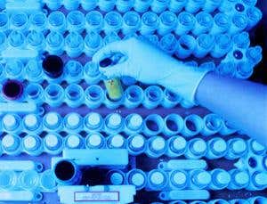 Maxed out: How much radiation can we take?