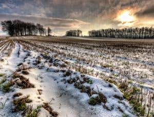 New Scientist. Science news and long reads from expert journalists, covering developments in science, technology, health and the environment on the website and the magazine.