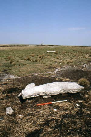 New Scientist. Science news and long reads from expert journalists, covering developments in science, technology, health and the environment on the website and the magazine.