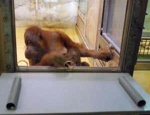 New Scientist. Science news and long reads from expert journalists, covering developments in science, technology, health and the environment on the website and the magazine.