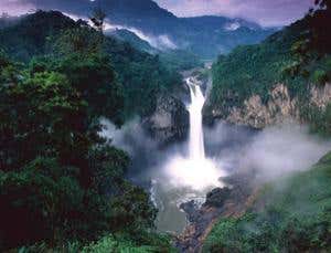 New Scientist. Science news and long reads from expert journalists, covering developments in science, technology, health and the environment on the website and the magazine.