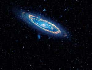 Warped stars feed black holes to fatten them up