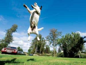 New Scientist. Science news and long reads from expert journalists, covering developments in science, technology, health and the environment on the website and the magazine.