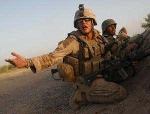 Trauma leaves its mark on immune system genes