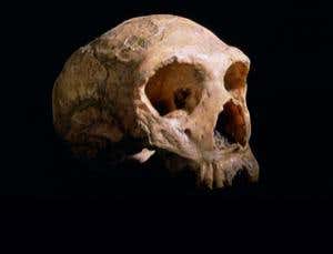 New Scientist. Science news and long reads from expert journalists, covering developments in science, technology, health and the environment on the website and the magazine.