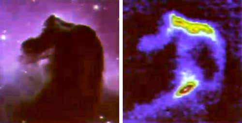 The Horsehead Nebula looks dark in visible light (left) but shows regions of intense star formation in infrared light