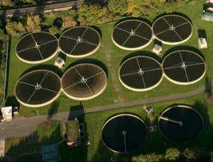 Bugs will give us free power while cleaning our sewage