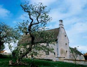 Newton's tree joins list of odd items to fly to space