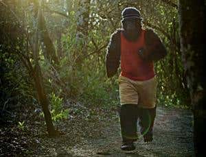 Illusions contest: Monkey business illusion, take 2