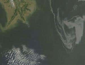 Why deep-water oil spills do their damage deep down