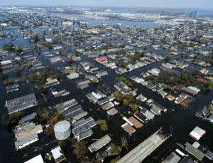 New Scientist. Science news and long reads from expert journalists, covering developments in science, technology, health and the environment on the website and the magazine.